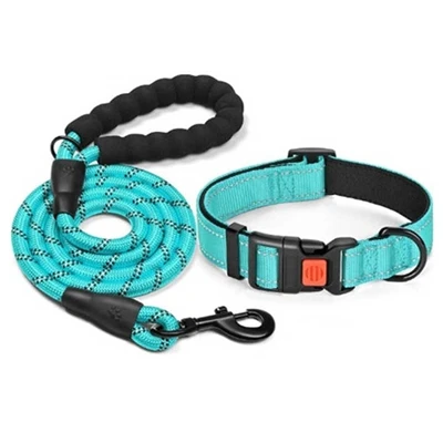 کتے کے پٹا سیٹ کے ل accessories لوازمات